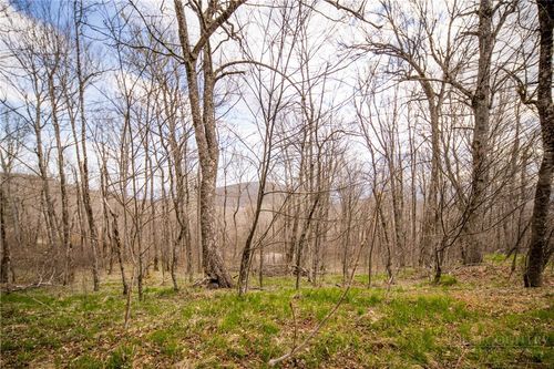 TBD (Lot 4) N Chappell Rd, Banner Elk, NC, 28604 | Card Image