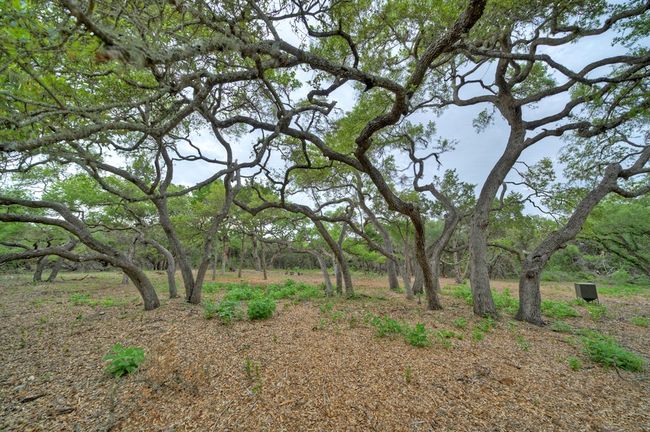 2 - 11916 Jim Bridger Dr, Home with 0 bedrooms, 0 bathrooms and null parking in Austin TX | Image 28