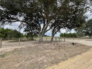 Land in East Bernard 5
