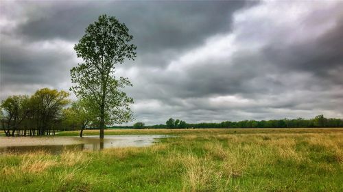 TBD County Road 26701, Petty, TX, 75470 | Card Image