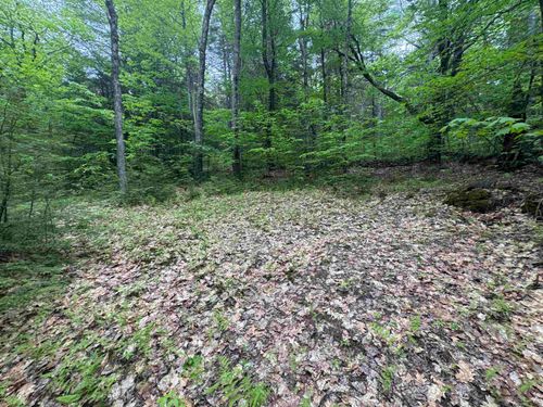 Lot 13 Beach Pond Road, Wolfeboro, NH, 03894 | Card Image