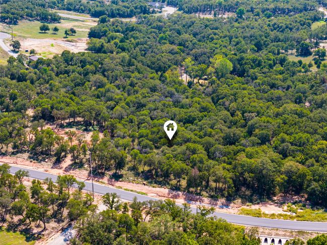Bird's eye view of a forest | Image 16