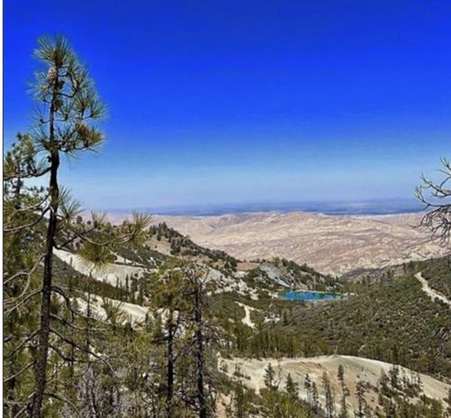 0 New Idria Rd, Paicines, CA, 95043 | Card Image