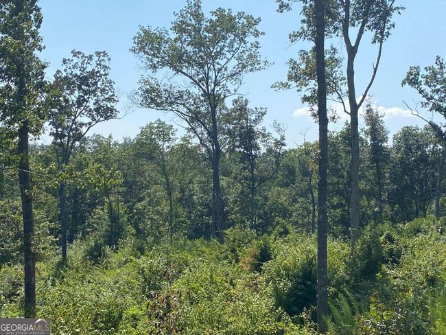 0 Woodstone Trail, Home with 0 bedrooms, 0 bathrooms and null parking in Ellijay GA | Image 15