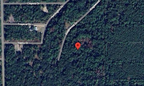 205 Siesta Dr, Georgetown, FL, 32139 | Card Image