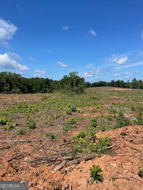 0 Allen Rd., Butler, GA, 31006 | Card Image