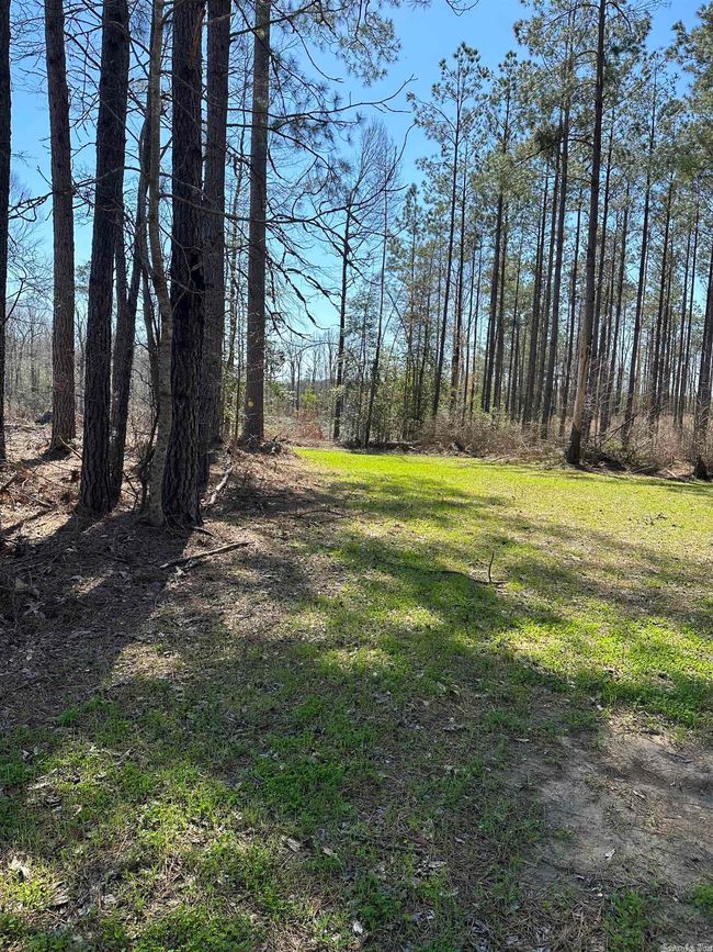 00 Highway 278 Highway, Home with 0 bedrooms, 0 bathrooms and null parking in Rosston AR | Image 27