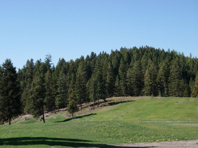 488 Emerald Lake Loop, Home with 0 bedrooms, 0 bathrooms and null parking in Seeley Lake MT | Image 26