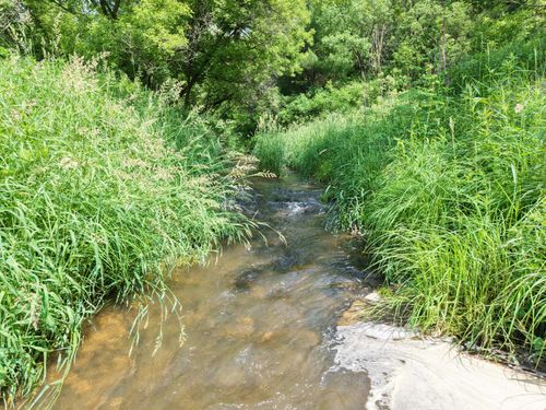 E12950 County Road D, LA FARGE, WI, 54639-8511 | Card Image