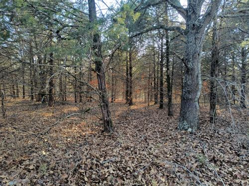 000 County Road 648, Theodosia, MO, 65761 | Card Image