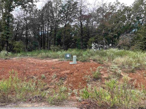 Tbd Cedarpark Place Lot 20, Lindale, TX, 75771 | Card Image