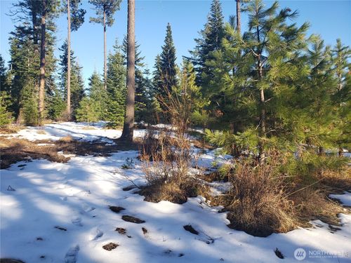 0 Lot F R&R Heights Drive, Roslyn, WA, 98941 | Card Image