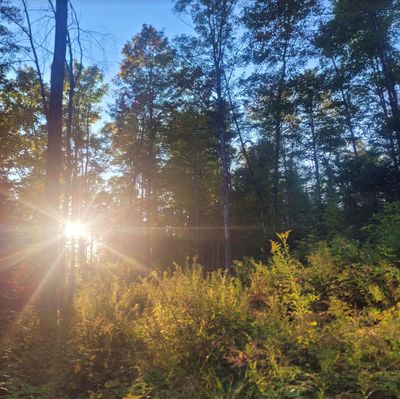 0 Sutton Road, Home with 0 bedrooms, 0 bathrooms and null parking in Wheelock VT | Image 1