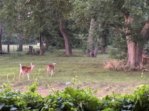 b-2011 Miller Rd, Rosharon, TX, 77583-4529 | Card Image