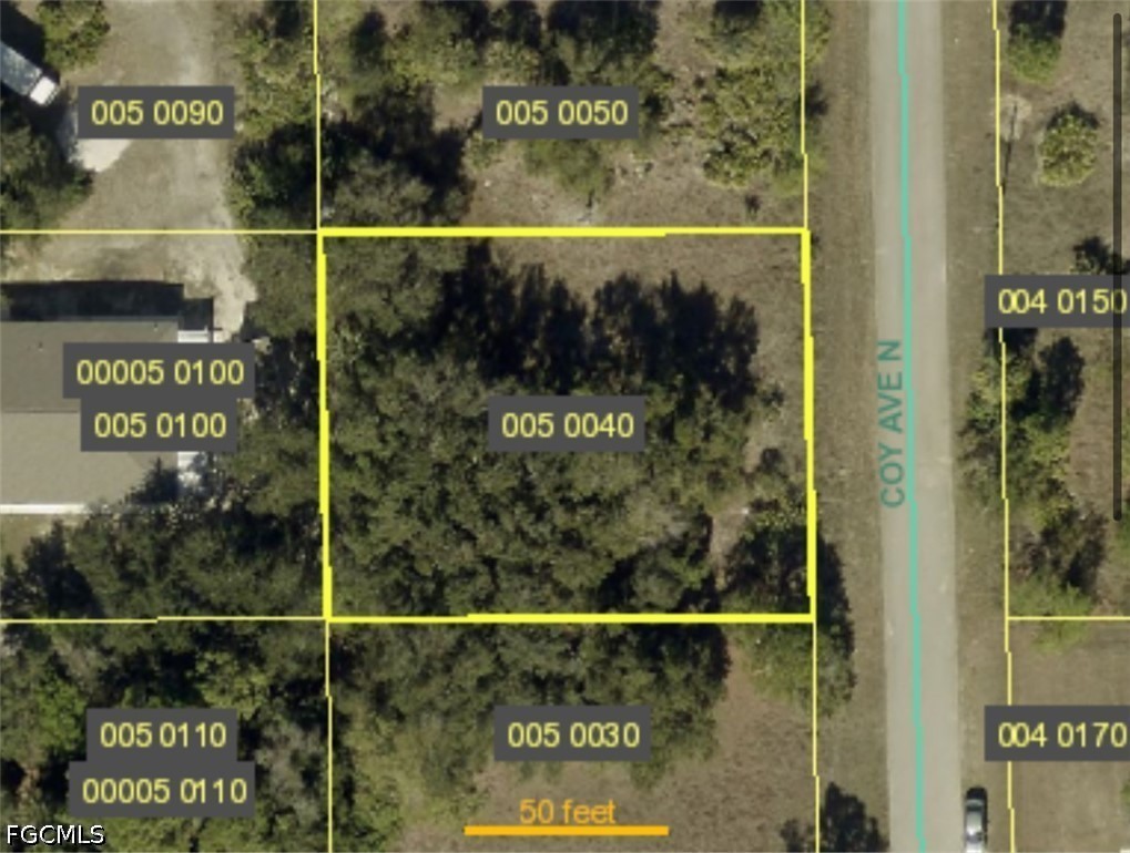 Land in Lehigh Acres 3