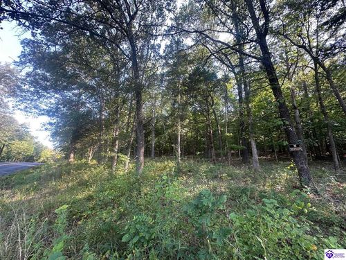 lots-4andamp5-13600 Grayson Springs Road, Clarkson, KY, 42726 | Card Image