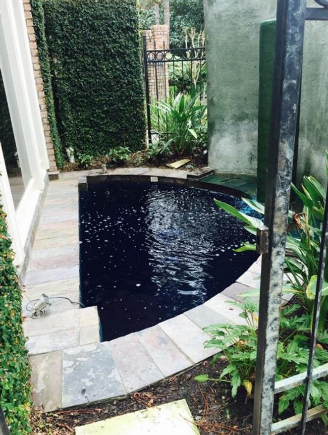 Koi Pond near Dining Room | Image 8