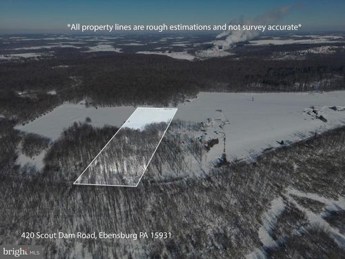 420 Scout Dam Rd, Ebensburg, PA, 15931 | Card Image