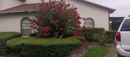 9135 Lingrove Rd, WEEKI WACHEE, FL, 34613-5152 | Card Image