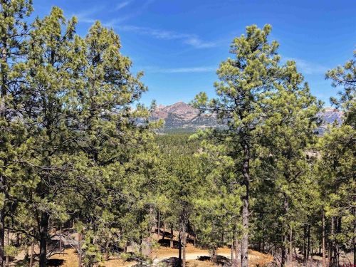 Lot 11 Hidden Valley Dr, Pagosa Springs, CO, 81147 | Card Image