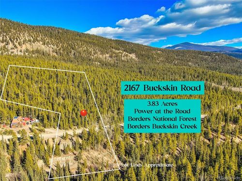 2167 E Buckskin Rd, Alma, CO, 80420 | Card Image