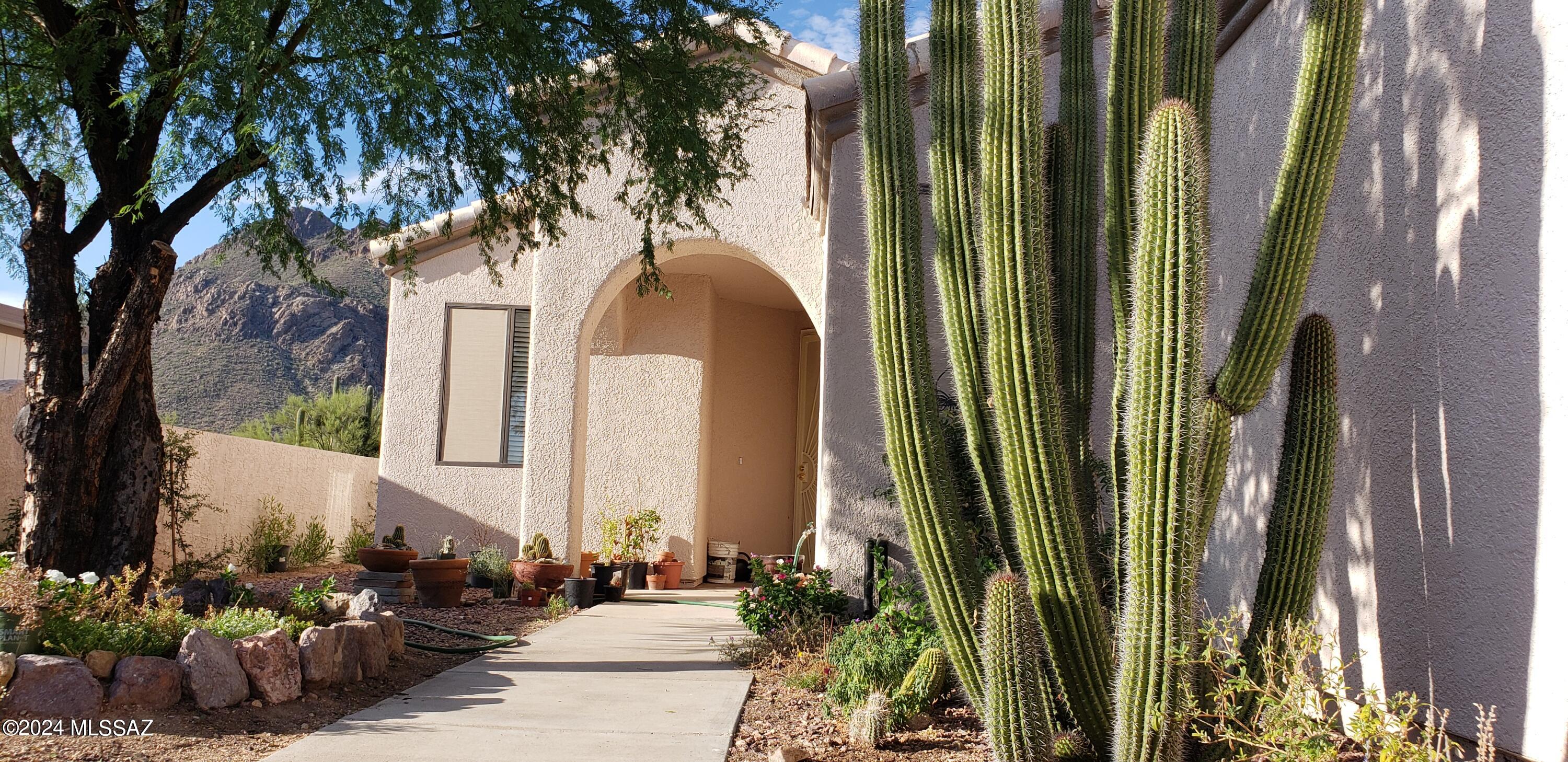 Falcon View Dr, Tucson, AZ 85713