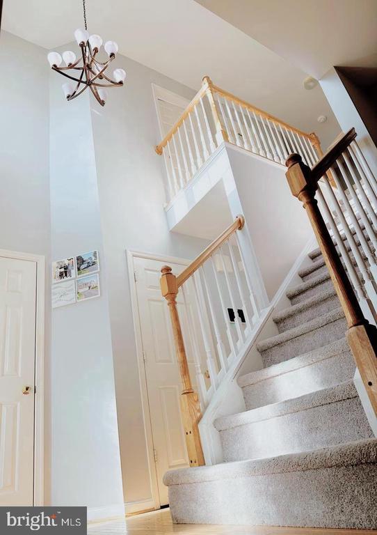 Residential Lease in STAFFORD 3
