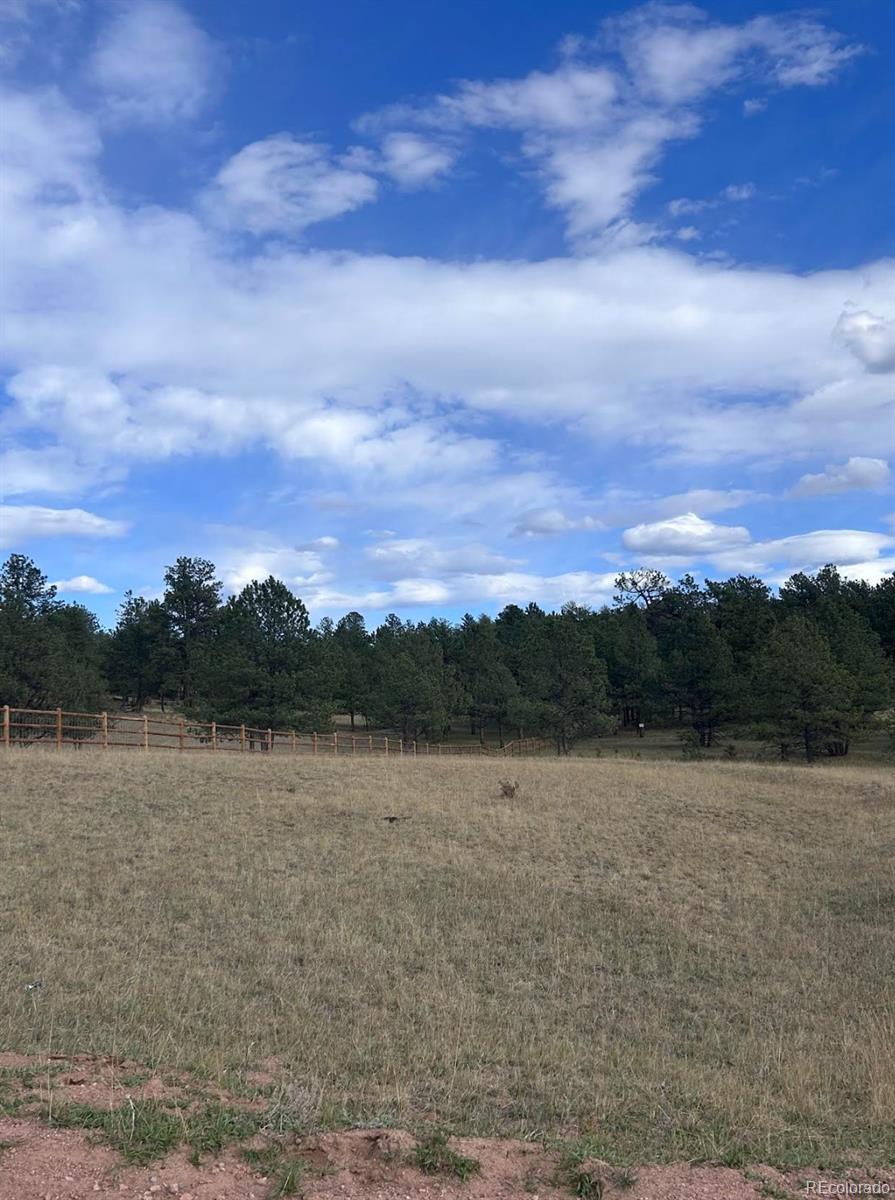 Land in Florissant 5
