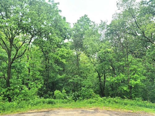 4 Hillside Ct, Galena, IL, 61036-9257 | Card Image