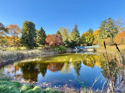 496217 10th Line, Tavistock, ON, N0B2R0 | Card Image