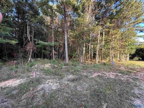 31-24 County Road 1011, Centre, AL, 35960 | Card Image