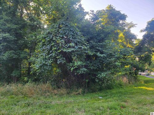 0 Hylan Dr, Eddyville, KY, 42038 | Card Image