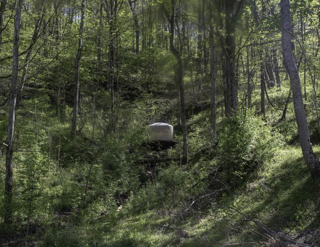 1657 Terrapin Branch Rd, House other with 3 bedrooms, 2 bathrooms and null parking in Mount Pleasant TN | Image 23