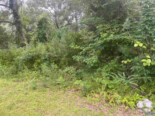 Lot 18 N College St, Glencoe, AL, 35905 | Card Image