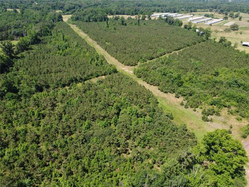 2 TBD County Road 295, Garrison, TX, 75946 | Card Image