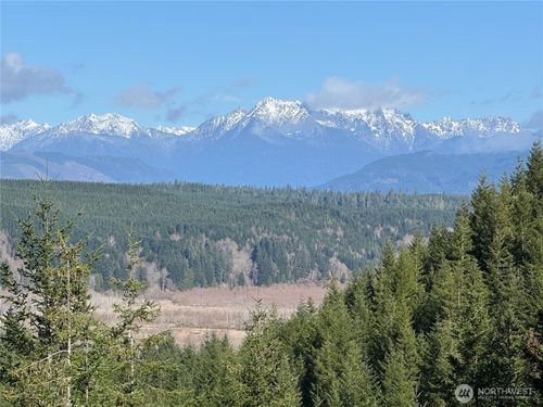 151 E Amy Court, Shelton, WA, 98584 | Card Image