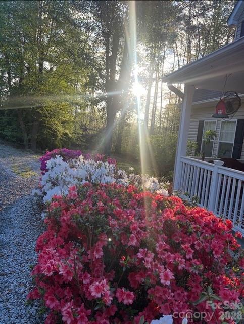 Residential in Hendersonville 5