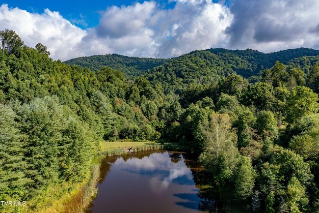 306 Bear Branch Rd, Home with 0 bedrooms, 0 bathrooms and null parking in Roan Mountain TN | Image 37