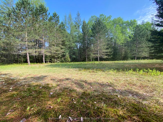 346 Brennans Rd, Home with 0 bedrooms, 0 bathrooms and null parking in Joly ON | Image 12
