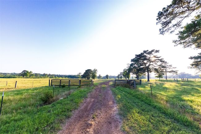 RD - 9759 Texas Highway 155, Home with 0 bedrooms, 0 bathrooms and null parking in Avinger TX | Image 5