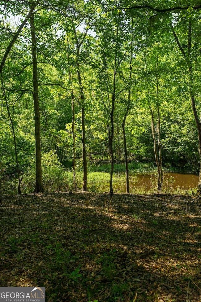 6053 Sun Hill Grange Rd, Home with 0 bedrooms, 0 bathrooms and null parking in Davisboro GA | Image 41