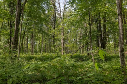 par-d-000 V/L E 13 Mile Rd, Bitely, MI, 49309 | Card Image