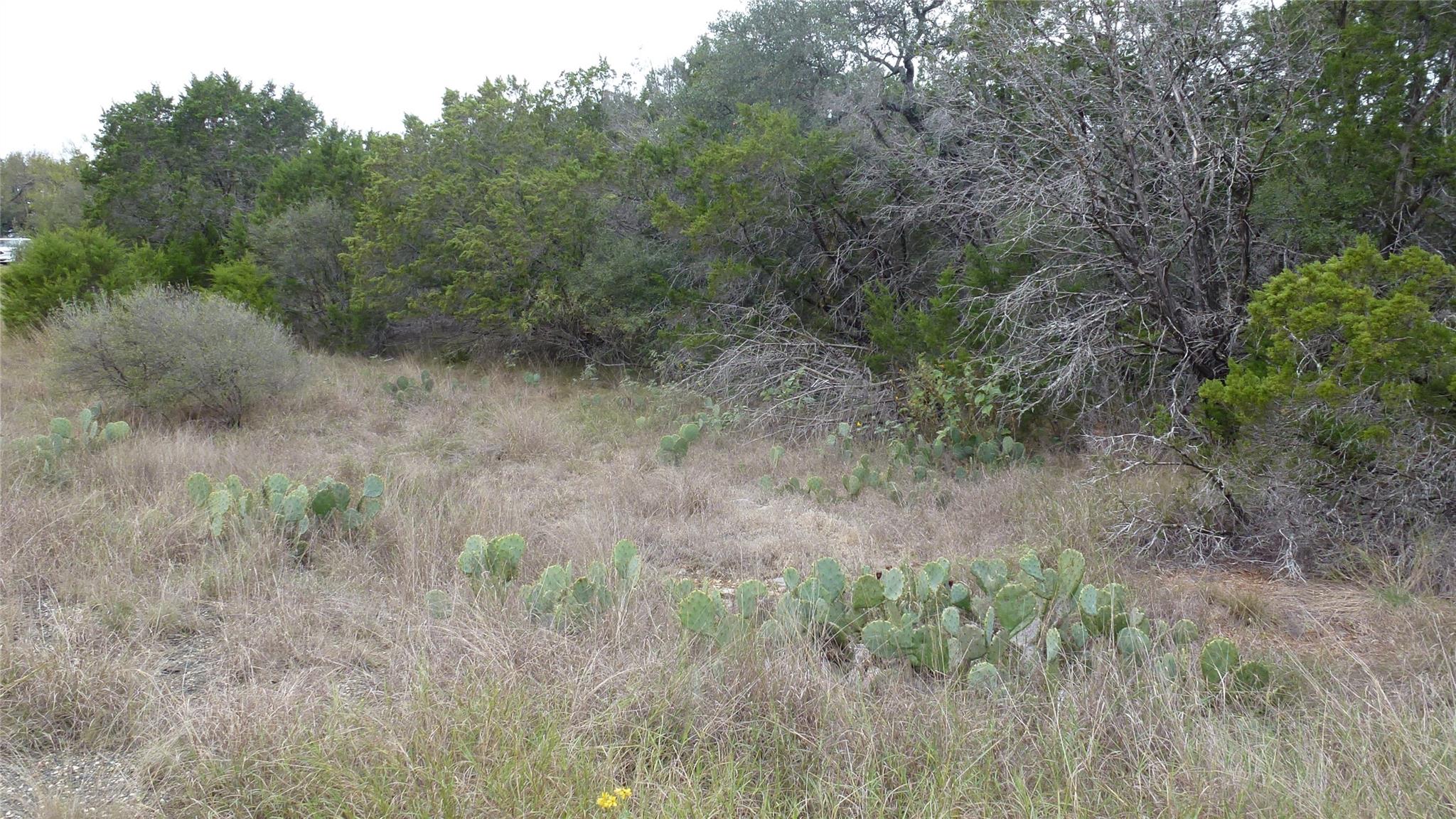 Land in Horseshoe Bay 3