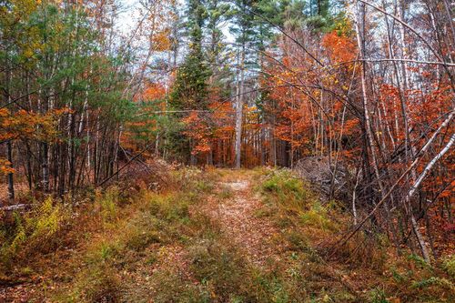 590 Howard Hill Rd, Londonderry, VT, 05148 | Card Image