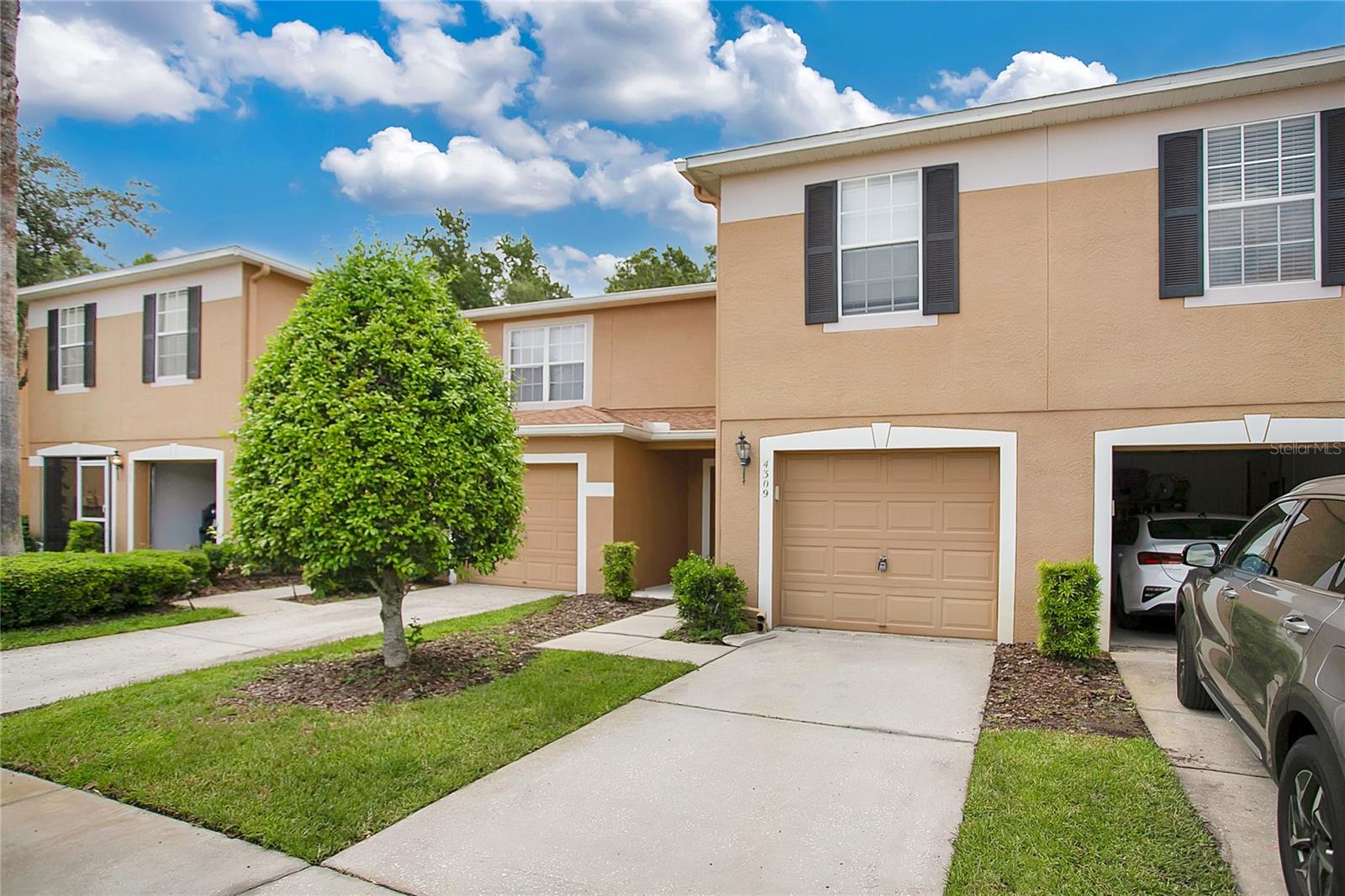 Winding River Way, Land O Lakes, FL 34639