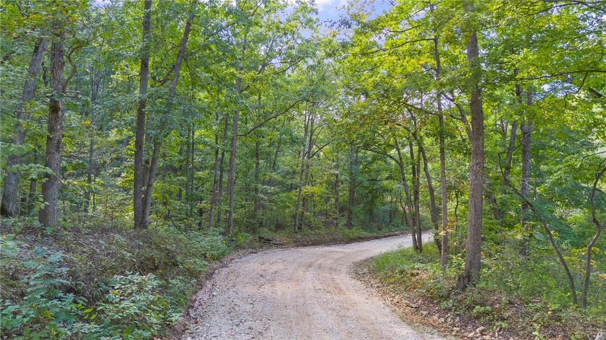 Land in Gravois Mills 2