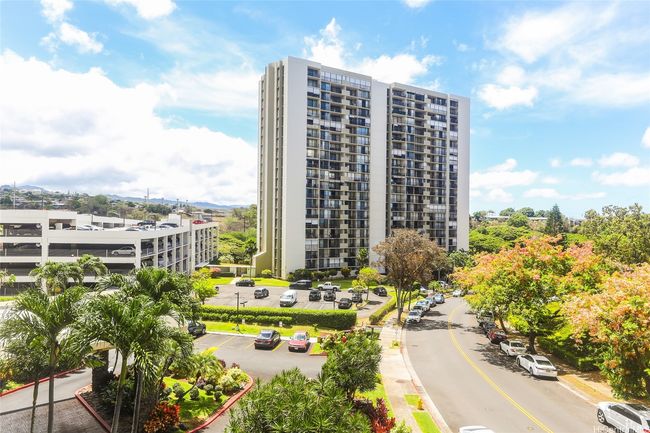 Perfect just above tree level view! | Image 6