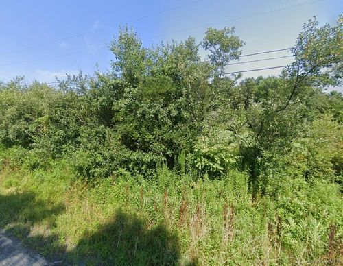 Lot 1 Back Shandelee Rd, Livingston Manor, NY, 12758-6528 | Card Image
