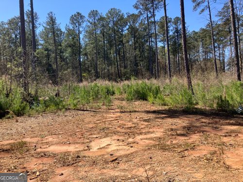 2920 Airline Rd, Mcdonough, GA, 30252-4523 | Card Image