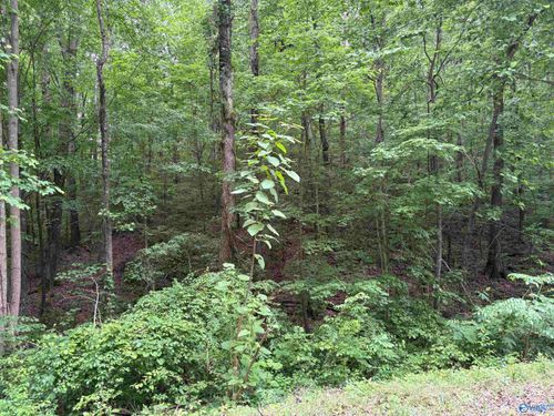 2756 Wilhite Road, Falkville, AL, 35622 | Card Image